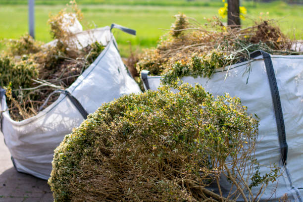 Best Yard Cleanup Services  in Iowa City, IA